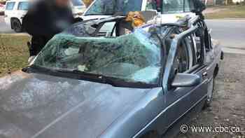 Roofless car driven 32 kilometres down highway to Meadow Lake after crash with semi: RCMP