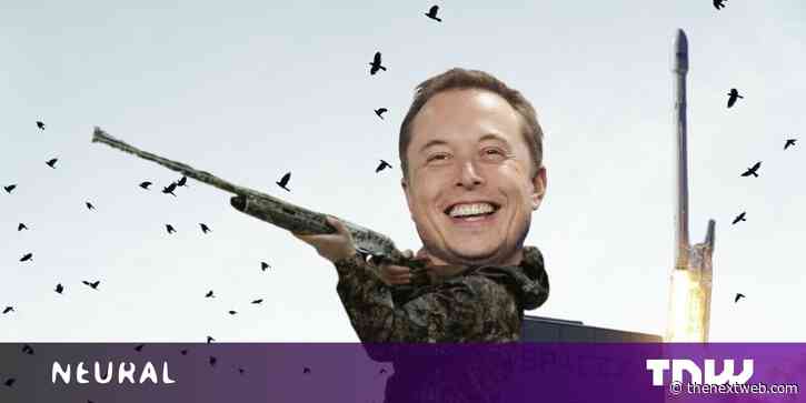 SpaceX’s success is built on the bones of tiny birds