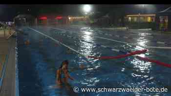 Sanierung Waldfreibad Calmbach: Allein die Planung kostet schon 1,5 Millionen Euro