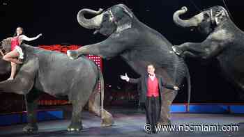 ‘Greatest Show on Earth' Circus May Return Without Animals