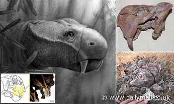 'Weird' turtle-like dicynodonts 'were the first animals to have tusks'