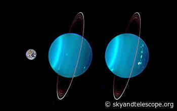 Uranus Queues Up for Opposition