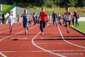 Görlitz: Reichenbach lässt neuen Sportplatz planen - Sächsische.de