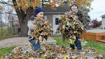Leaf collection season | Laval News | thesuburban.com - The Suburban Newspaper