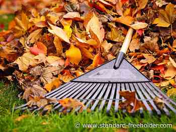 Farmgate: The are benefits to being a lazy fall gardener - Standard Freeholder