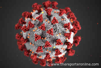 Montgomery County adds 202 coronavirus cases, 4 deaths - The Reporter