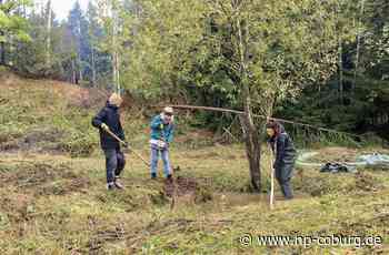 Steinbruch Glosberg - Schuften für Uhu und Unke - Neue Presse Coburg