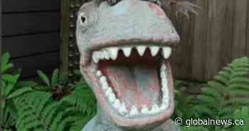 Eighty-pound dinosaur statue stolen from Burnaby, B.C. backyard