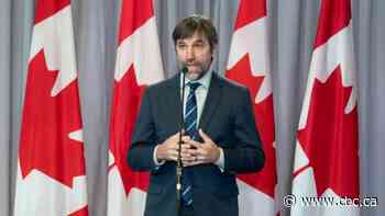 New environment minister downplays questions about past activism, says he has no 'secret agenda'