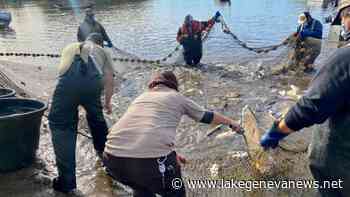 Watch now: How crews are removing invasive carp from the Mississippi River in Wisconsin - Lake Geneva Regional News
