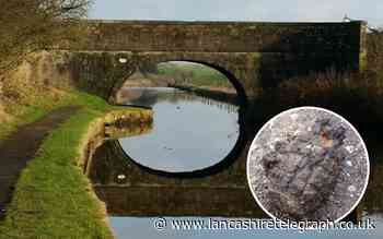 Rishton: Bomb disposal experts deal with 'hand grenade' in canal