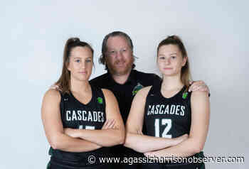 Chilliwack's Julia Tuchscherer set for Canada West debut with UFV women's b-ball team – Agassiz Harrison Observer - Agassiz Harrison Observer