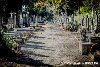 Stad kondigt ontgravingen aan op het kerkhof van Beverlo - Het Nieuwsblad