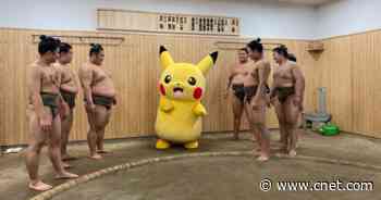 Pokemon characters bring cuteness to the sumo wrestling ring     - CNET