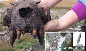 Researchers find evidence of prehistoric human activity in Falkland Islands