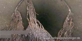 49 Prozent an private Firma: Gemeinde Ascheberg gründet Abwassergesellschaft | Ascheberg - Hellweger Anzeiger