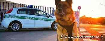 Contro la droga nelle scuole, Seriate e Dalmine in campo con la Prefettura - Cronaca, Bergamo - L'Eco di Bergamo