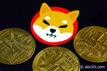 Shiba inu coin price hits a new record as Robinhood petition gains popularity
