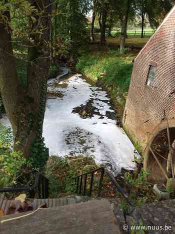 Peerdestokbeek in Zwalm (St.-Denijs-Boekel) is ernstig vervuild - NUUS