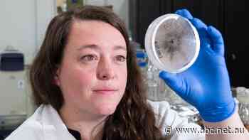 Carbon startup raises $40 million