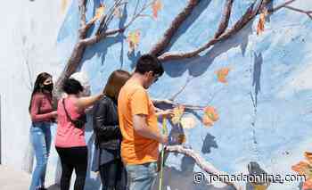 Inclusión: la Ciudad de Mendoza inauguró el primer mural para personas no videntes - JornadaOnline