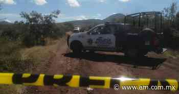 Seguridad Comonfort: Encuentran a hombre ejecutado entre Rosales y Charco de Sierra - Periódico AM