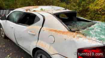 Rhode Island's East Bay pummeled by trees and outages - WJAR