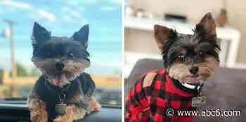 Police: Stolen Rhode Island car found in Connecticut, dog inside still missing - WLNE-TV (ABC6)