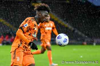 Caos plusvalenze: nel mirino anche diverse operazioni riguardanti il Parma - Forza Parma