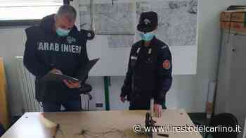 Parma, bracconaggio ittico: sequestrato elettrostorditore, denunciati due pescatori - il Resto del Carlino