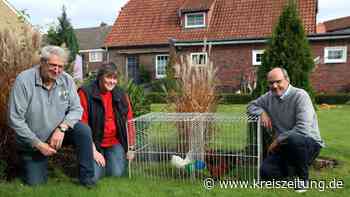 Jubiläum der Sulinger Geflügelzüchter vorerst im kleinen Kreis - kreiszeitung.de