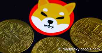 Shiba Inu coin reaches highs to become new crypto darling     - CNET