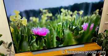 LG C1 OLED TV on sale: Save up to $1,000 on our favorite high-end TV     - CNET