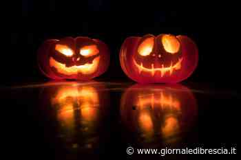 Tra zucche e fantasmi: ecco cosa leggere ad Halloween - Giornale di Brescia