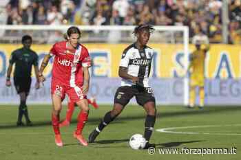 Gdp: "La voglia di riscatto del Parma all'esame Cittadella" - Forza Parma