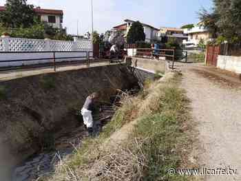 Ardea, sversamento di liquido inquinante nel fosso. Sindaco: - Il Caffè.tv
