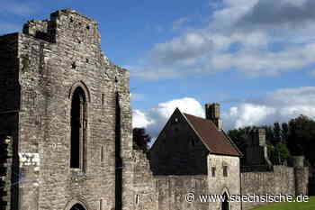 Riesa: Was der Brexit mit einer Riesaer Schule zu tun hat - Sächsische.de