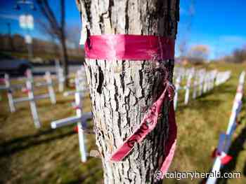 Indigenous activist upset as ribbons for MMIWG removed near Calgary's Field of Crosses - Calgary Herald