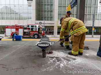 More charges expected in downtown machete attack, lawyer says - Calgary Herald