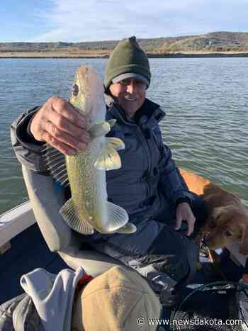 The Peluso Report: Fall Feed Starting on Missouri River - newsdakota.com