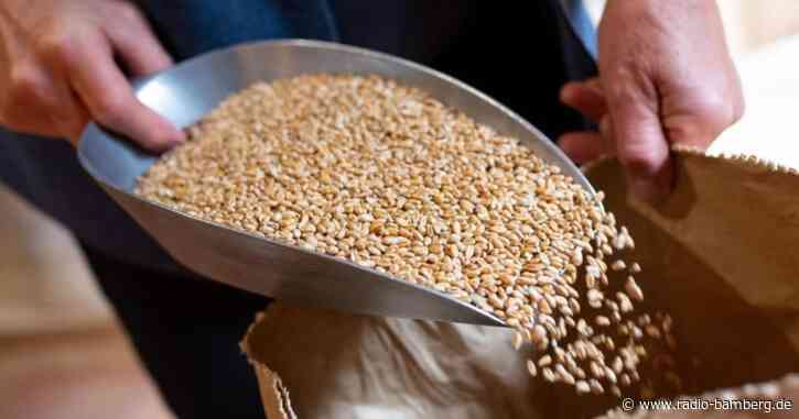 Hohe Kosten und schwache Ernte: Müller schlagen Alarm