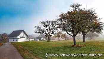 "Steigäcker" in Neuweiler: Geplantes Baugebiet lässt Emotionen hochkochen