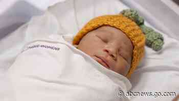 WATCH:  Newborn babies dressed for Halloween are the cutest pumpkins in the patch
