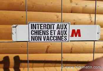 "Interdit aux chiens et aux non-vaccinés": de fausses plaques au marché de Noël Toulon créent la confusion