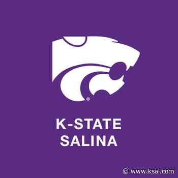 Inaugural KSU Salina Social Work Wildcat Conference Trains Industry Professionals - KSAL