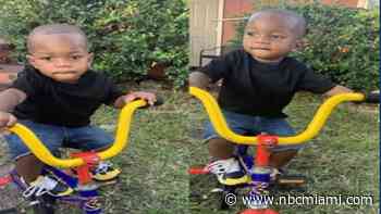 Toddlers Drown in Belle Glade Pool After Wandering From Home