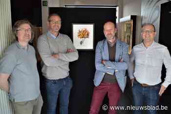 Wervik hoopt op 10.000 bezoekers voor unieke lichtwandeling met tekeningen van ereburger Carll Cneut