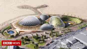 Eden Project North needs government funding, boss says