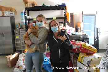 South Peace SPCA in need of volunteers - Dawson Creek Mirror