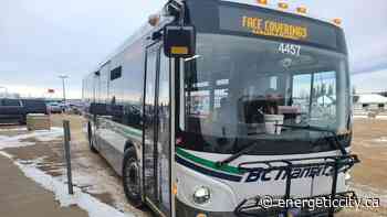 Dawson Creek resident challenges council to take public transit for a month - Energeticcity.ca